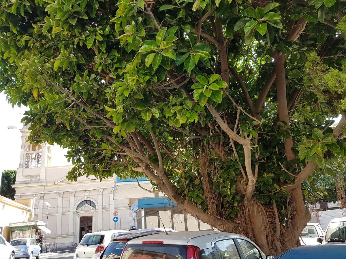 Hotel Da Agnese Locazioni Brevi Cagliari Exteriér fotografie